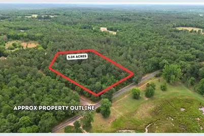 0 Lot 3 Holiness Church Road, Wagener, SC 29164 - Photo 2