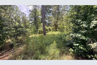 245 Hodges Bay Drive, Aiken, SC 29803 - Photo 6