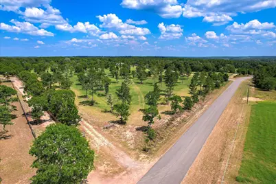 1150 Bethcar Church Road, Wagener, SC 29164 - Photo 4