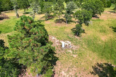 1150 Bethcar Church Road, Wagener, SC 29164 - Photo 20