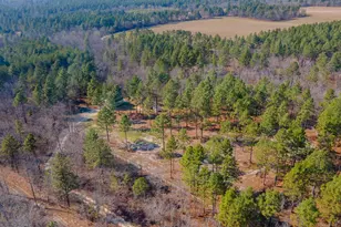 316 Cadle Crossing Rd, Windsor, SC 29856 - Photo 4