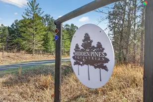 316 Cadle Crossing Rd, Windsor, SC 29856 - Photo 30