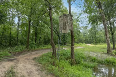 0 Gun Range Road, Aiken, SC 29801 - Photo 18