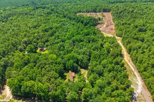 380 Windy Ridge Rd, Trenton, SC 29847 - Photo 34
