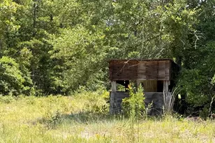 380 Windy Ridge Rd, Trenton, SC 29847 - Photo 22