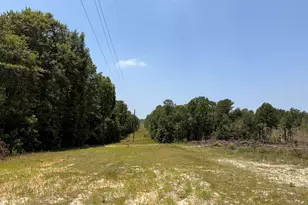 380 Windy Ridge Rd, Trenton, SC 29847 - Photo 6