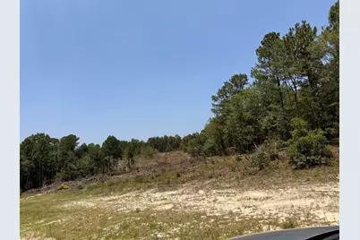 380 Windy Ridge Road, Trenton, SC 29847 - Photo 24