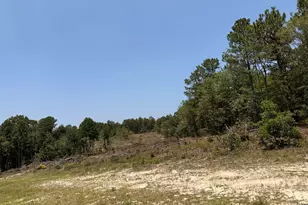 380 Windy Ridge Rd, Trenton, SC 29847 - Photo 24