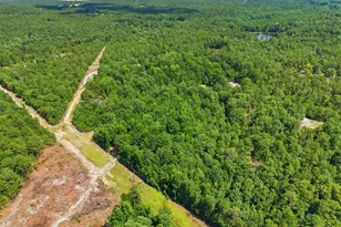 380 Windy Ridge Rd, Trenton, SC 29847 - Photo 32