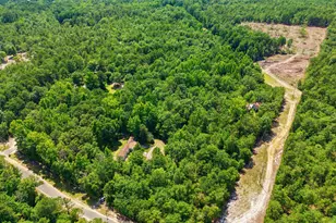 380 Windy Ridge Rd, Trenton, SC 29847 - Photo 28