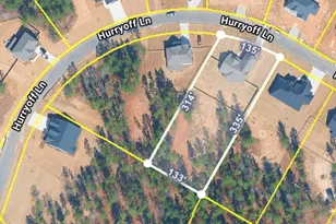 924 Hurryoff Ln, Aiken, SC 29803 - Photo 36