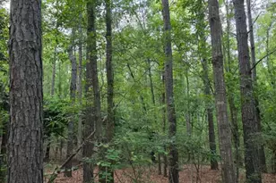 15A Woodberry Ln, North Augusta, SC 29841 - Photo 1