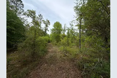 Rrf 1 Rogers Cemetery Road #Rrf 1, Salley, SC 29137 - Photo 8