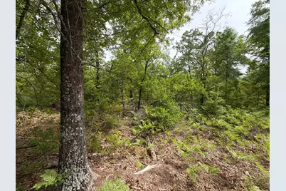 Rrf 1 Rogers Cemetery Road #Rrf 1, Salley, SC 29137 - Photo 28