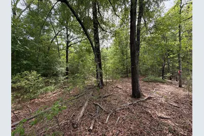 Rrf 1 Rogers Cemetery Road #Rrf 1, Salley, SC 29137 - Photo 40