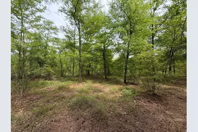 Rrf 1 Rogers Cemetery Road #Rrf 1, Salley, SC 29137 - Photo 20