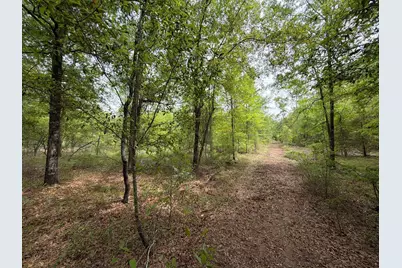 Rrf 1 Rogers Cemetery Road #Rrf 1, Salley, SC 29137 - Photo 18