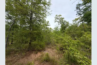 Rrf 1 Rogers Cemetery Road #Rrf 1, Salley, SC 29137 - Photo 12