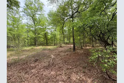 Rrf 1 Rogers Cemetery Road #Rrf 1, Salley, SC 29137 - Photo 24