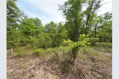 Rrf 1 Rogers Cemetery Road #Rrf 1, Salley, SC 29137 - Photo 26