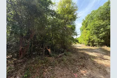 Rrf 4 Rogers Cemetery Road #Rrf 4, Salley, SC 29137 - Photo 4