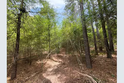 Rrf 4 Rogers Cemetery Road #Rrf 4, Salley, SC 29137 - Photo 8