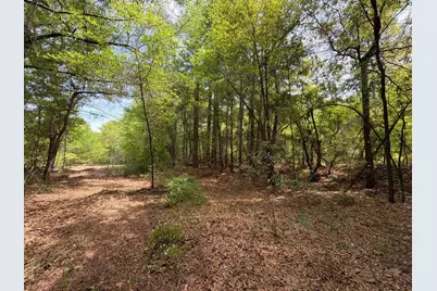 Rrf 4 Rogers Cemetery Road #Rrf 4, Salley, SC 29137 - Photo 16