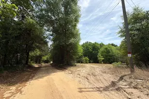 Rrf 4 Rogers Cemetery Rd, Salley, SC 29137 - Photo 1