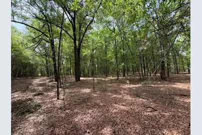 Rrf 4 Rogers Cemetery Road #Rrf 4, Salley, SC 29137 - Photo 14