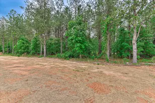 170 Traditions Dr, Trenton, SC 29847 - Photo 30