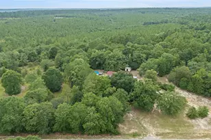 664 S Dixie Rd, Wagener, SC 29164 - Photo 50