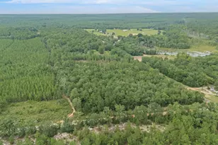 664 S Dixie Rd, Wagener, SC 29164 - Photo 54