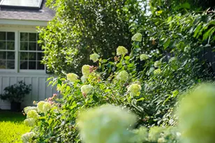 208 S Boundary Ave SE, Aiken, SC 29801 - Photo 108