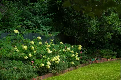 208 S Boundary Avenue SE, Aiken, SC 29801 - Photo 104