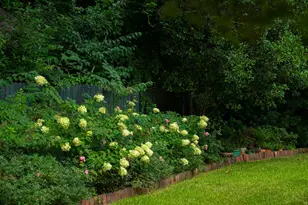 208 S Boundary Ave SE, Aiken, SC 29801 - Photo 104