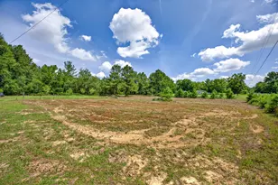 3302 Concord Church Rd, Allendale, SC 29810 - Photo 24