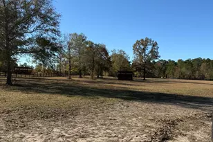 1988 Coleman Bridge Rd, Wagener, SC 29164 - Photo 16