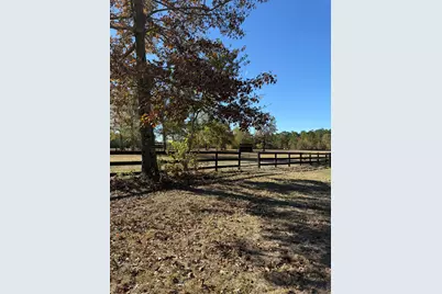 1988 Coleman Bridge Road, Wagener, SC 29164 - Photo 18