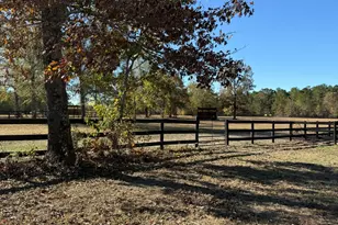 1988 Coleman Bridge Rd, Wagener, SC 29164 - Photo 18