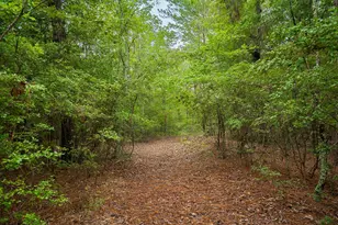 1480/1482 Wire Rd, Aiken, SC 29805 - Photo 90