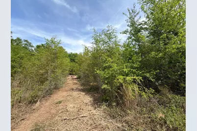 Rrf 5 Rogers Cemetery Road #Rrf 5, Salley, SC 29137 - Photo 18