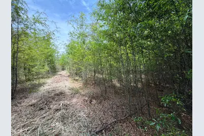 Rrf 5 Rogers Cemetery Road #Rrf 5, Salley, SC 29137 - Photo 22