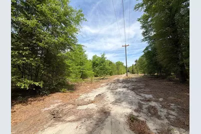 Rrf 5 Rogers Cemetery Road #Rrf 5, Salley, SC 29137 - Photo 14