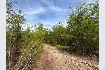 Rrf 5 Rogers Cemetery Road #Rrf 5, Salley, SC 29137 - Photo 20