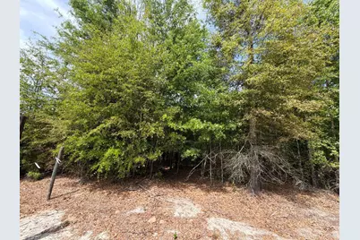 Rrf 5 Rogers Cemetery Road #Rrf 5, Salley, SC 29137 - Photo 4