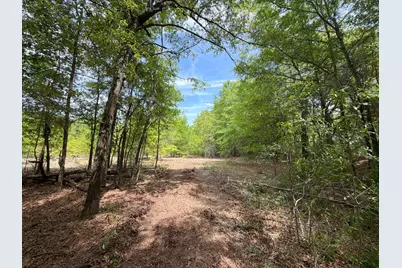 Rrf 5 Rogers Cemetery Road #Rrf 5, Salley, SC 29137 - Photo 6