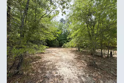 Rrf 5 Rogers Cemetery Road #Rrf 5, Salley, SC 29137 - Photo 12