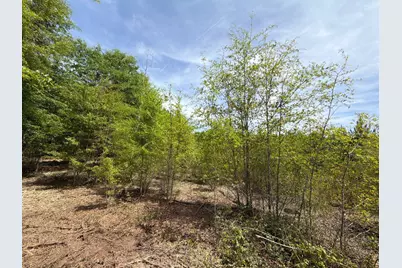 Rrf 5 Rogers Cemetery Road #Rrf 5, Salley, SC 29137 - Photo 16