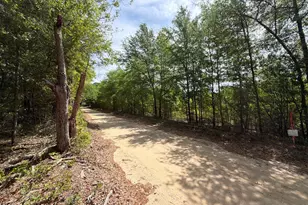 Rrf 5 Rogers Cemetery Rd, Salley, SC 29137 - Photo 1