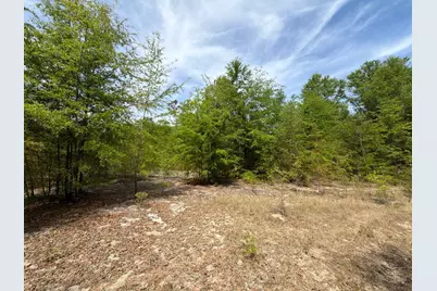 Rrf 5 Rogers Cemetery Road #Rrf 5, Salley, SC 29137 - Photo 10